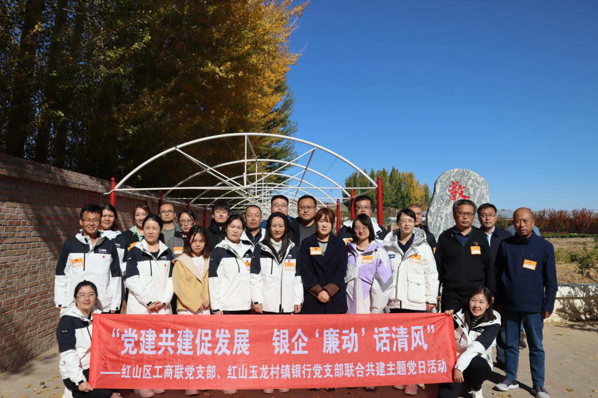 图片6